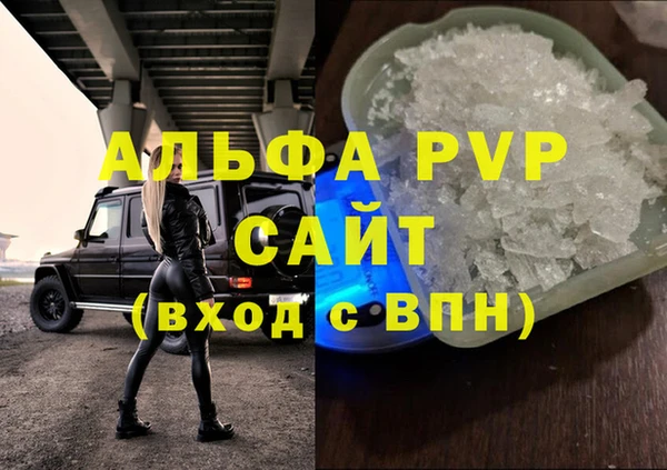 прущие грибы Навашино