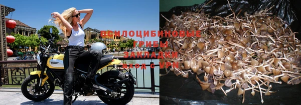 прущие грибы Навашино