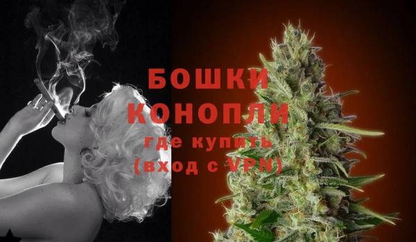 прущие грибы Навашино