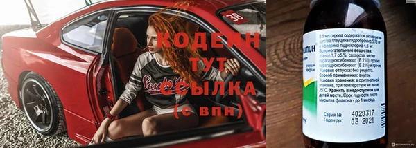 гидра Наволоки